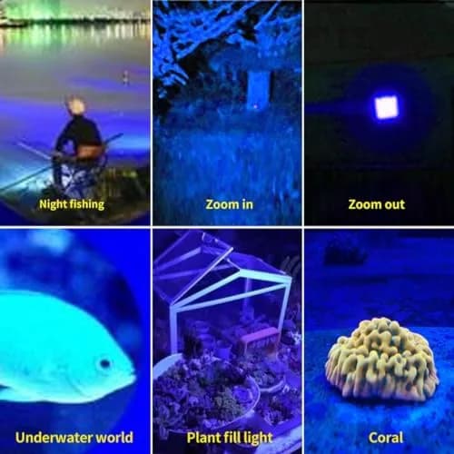 YZYOE 2-in-1 Rechargeable Flashlight with White & Blue Light 12.5 cm (4.92 in) | Zoomable Beam for Blood Tracking & General Use thumbnail 2