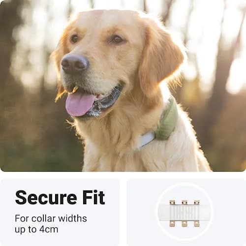 Tractive GPS Dog XL Tracker Rubber Attachment Clips (Pack of 3) | Fits Collars Up to 1.6 Inches Wide thumbnail 4