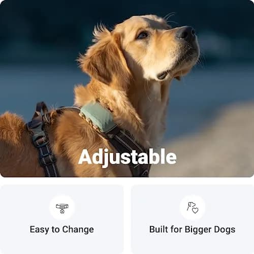 Tractive GPS Dog XL Tracker Rubber Attachment Clips (Pack of 3) | Fits Collars Up to 1.6 Inches Wide thumbnail 3