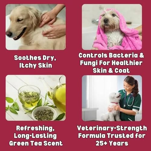Showseason Soothe Itch Relief Pet Shampoo for Dogs & Cats 16 oz. | Antiseptic | Cools Red, Inflamed Skin | Made in USA thumbnail 3