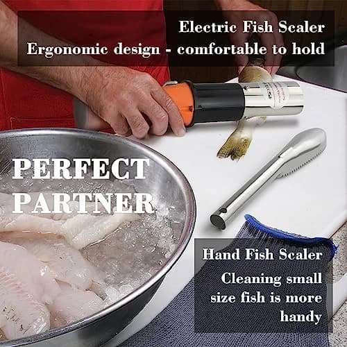 ROEDEER Fish Scaler Electric Cordless 12V | Efficient Fish Scale Removal Tool thumbnail 3
