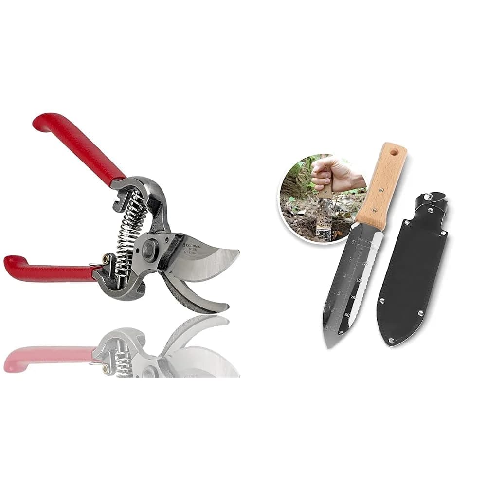 Corona Clipper Garden Shear Scissor | Forged Steel Bypass Pruner & Japanese Weeding Knife