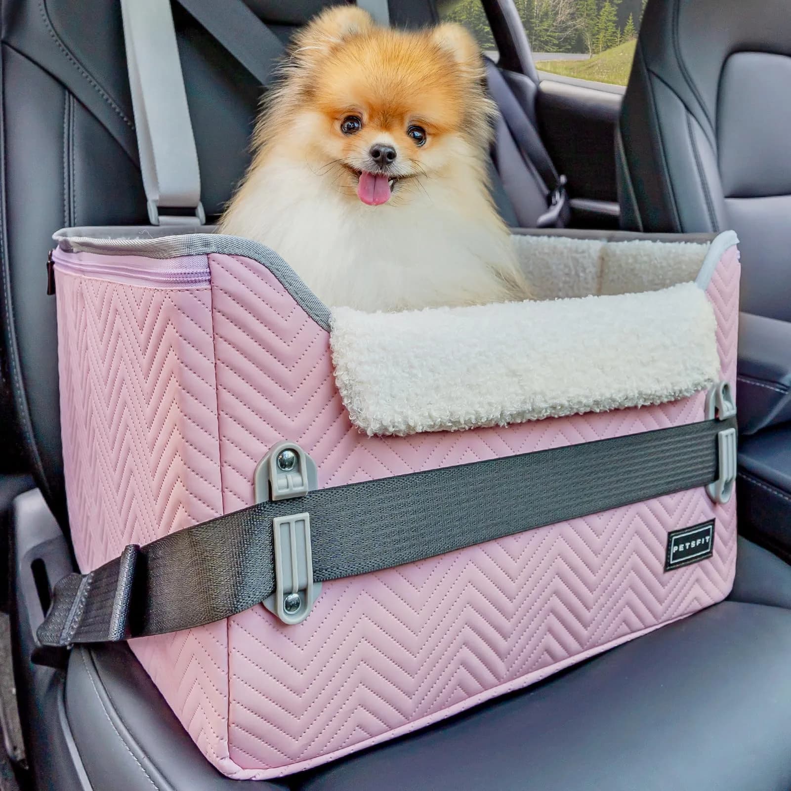Petsfit Dog Car Seat for Small Dogs 16"L x 13"W x 11"H | Portable, Adjustable & Safe (Light Pink)