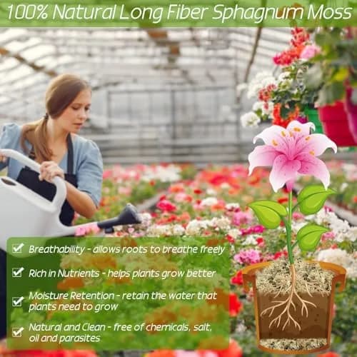 ZeeDix Premium Sphagnum Moss Bulk 1.46 kg (3.3 lb) | Natural Long Fiber for Plants & Reptiles thumbnail 4