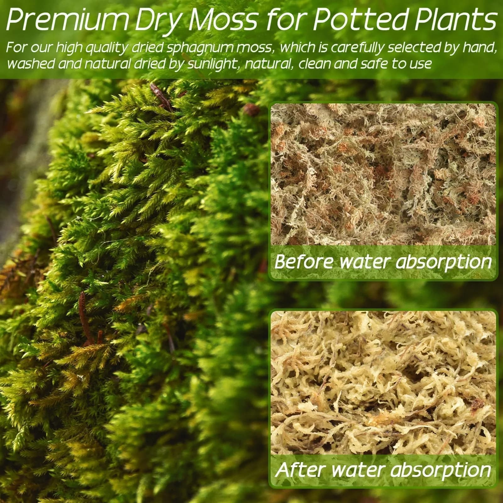 ZeeDix Premium Sphagnum Moss Bulk 1.46 kg (3.3 lb) | Natural Long Fiber for Plants & Reptiles - view 5