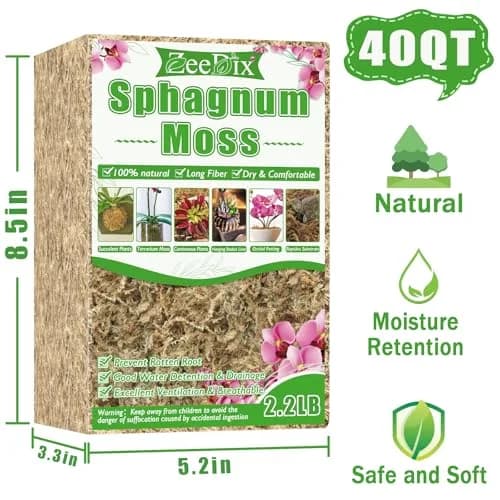 ZeeDix Premium Sphagnum Moss Bulk 2.2 lb (998g) | Natural Long Fiber for Plants & Reptiles thumbnail 2