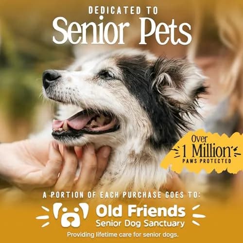 DOK TigerToes Non-Slip Dog Socks X-Small (4-Pack) | Extra-Thick Grip for Hardwood Floors & Paw Protection thumbnail 7