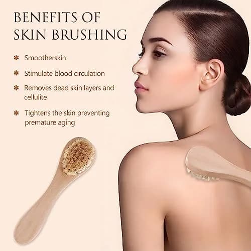 Kootinn Mini Dry Brush Natural Bristle Small Body Brush for Sensitive Areas | Exfoliating Facial & Skin Rejuvenation thumbnail 4