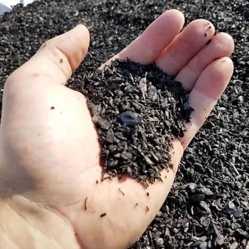 plantonix Char Bliss 24 Qts Organic Biochar Soil Amendment | Carbon-Negative Soil Conditioner thumbnail 7