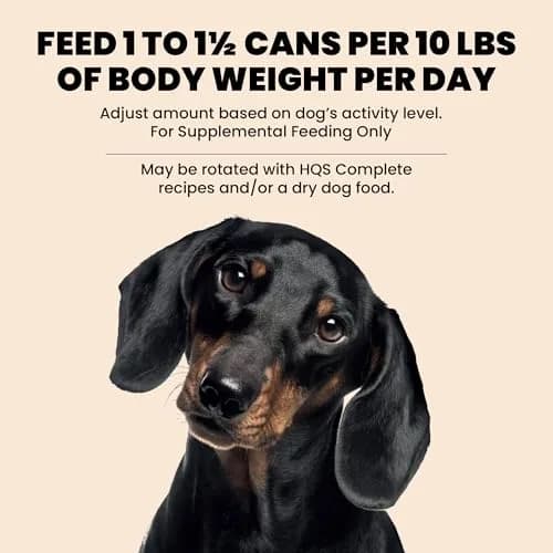 almo nature HQS Natural Wet Dog Food Chicken Fillet, 5.5oz Pack of 12 | Grain Free & Additive Free thumbnail 6