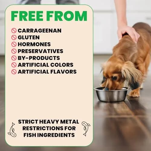 almo nature HQS Natural Wet Dog Food Chicken Fillet, 5.5oz Pack of 12 | Grain Free & Additive Free thumbnail 3