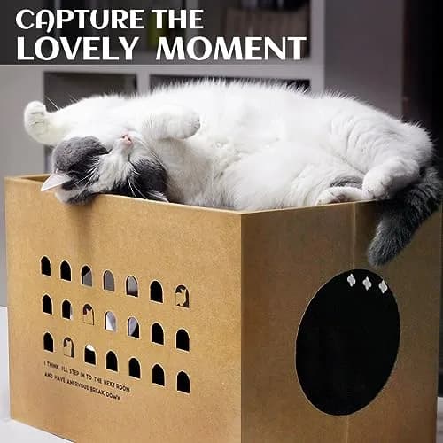 ARGOPET Cactus Cat Cardboard House with 2 Scratching Pads 30.1 cm (11.8 in) | Recycled Corrugated Board Villa for Indoor Cats thumbnail 5