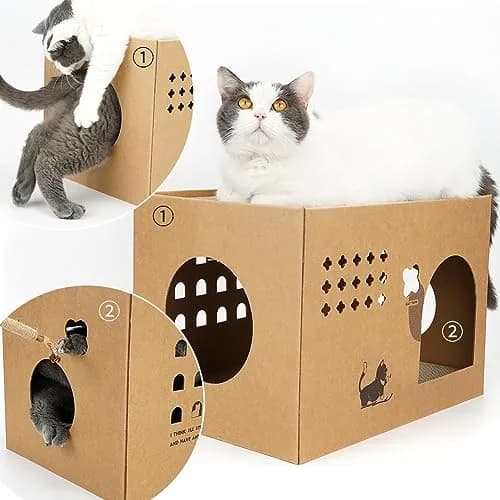 ARGOPET Cactus Cat Cardboard House with 2 Scratching Pads 30.1 cm (11.8 in) | Recycled Corrugated Board Villa for Indoor Cats thumbnail 6