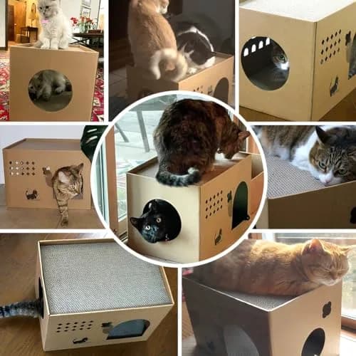 ARGOPET Cactus Cat Cardboard House with 2 Scratching Pads 30.1 cm (11.8 in) | Recycled Corrugated Board Villa for Indoor Cats thumbnail 2