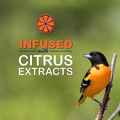 sweet-seed Oriole Nectar 250mL | Ready to Use, Extends Nectar Life for Orioles in India thumbnail 5