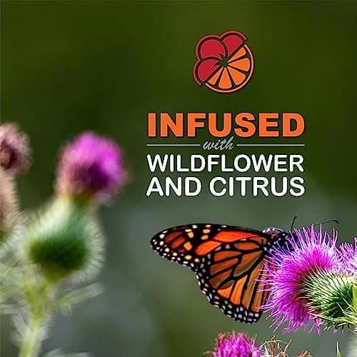 Sweet-Seed Butterfly Nectar 8oz | Ready to Use, Extends Nectar Life for Feeders thumbnail 5