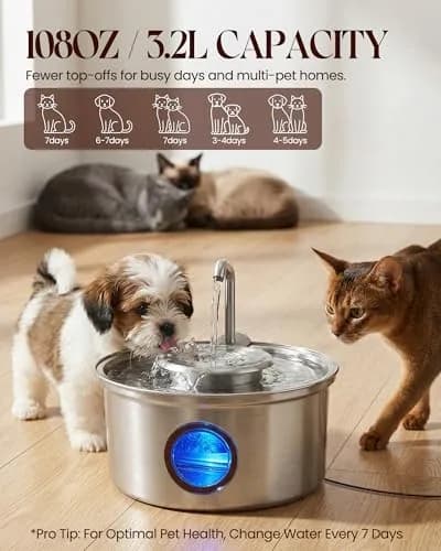Hicuper Stainless Steel Cat Water Fountain 3.2L | Quiet Flow, Multi-Filter, Removable Bowl thumbnail 4