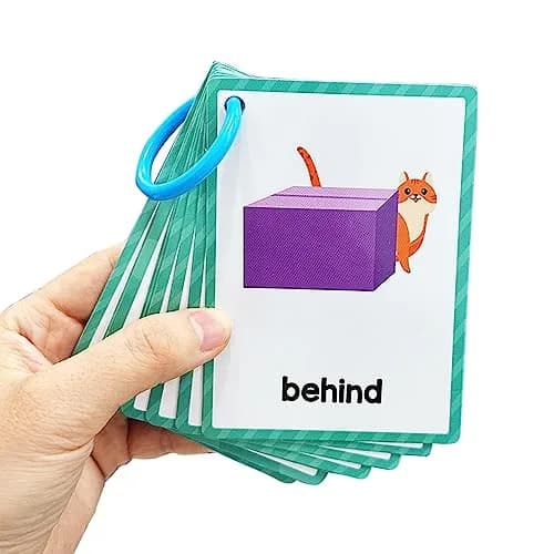 Lachilly Prepositions Flashcards 10 Cards (8 X 11 cm) | Kindergarten Vocabulary Building thumbnail 7