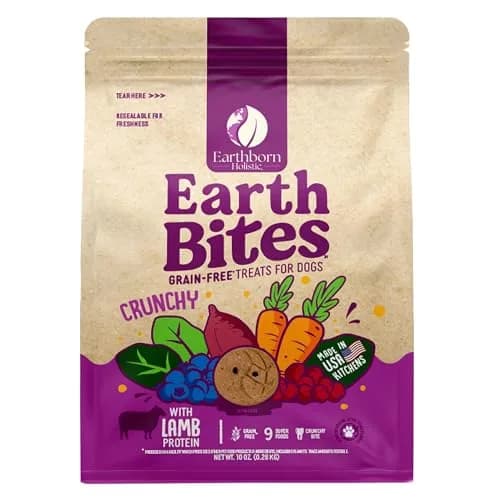 Earthborn Holistic EarthBites Grain-Free Dog Treats with Lamb 10 oz | Crunchy, Healthy & Made in USA thumbnail 1