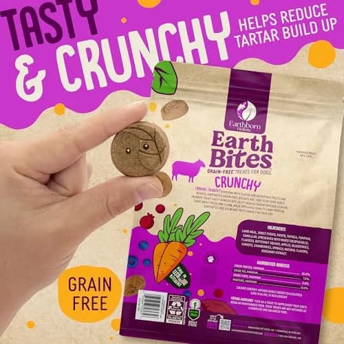 Earthborn Holistic EarthBites Grain-Free Dog Treats with Lamb 10 oz | Crunchy, Healthy & Made in USA thumbnail 4
