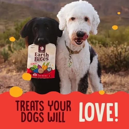 Earthborn Holistic EarthBites Grain-Free Dog Treats with Bison 10 oz | Crunchy, Healthy & Tartar-Reducing thumbnail 8