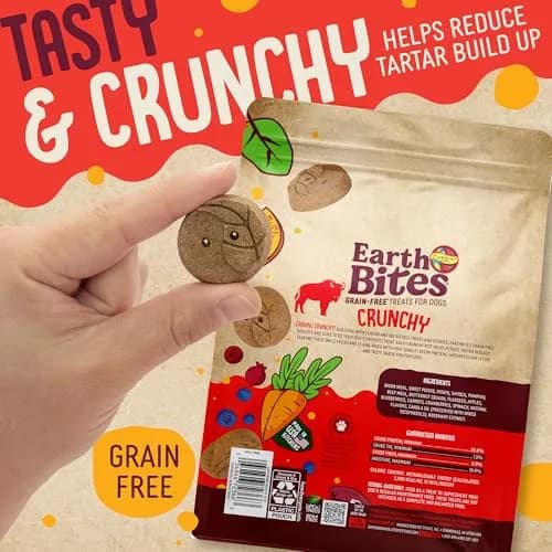 Earthborn Holistic EarthBites Grain-Free Dog Treats with Bison 10 oz | Crunchy, Healthy & Tartar-Reducing thumbnail 4