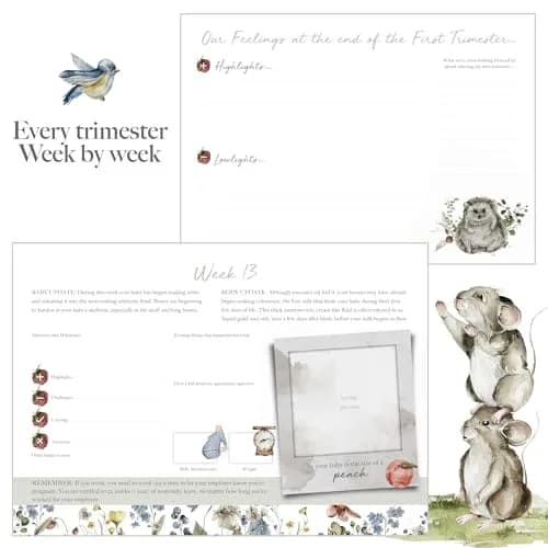 Bibi & Beau Woodland Pregnancy Journal 196 Pages | Weekly Pregnancy Planner & Scrapbook thumbnail 9