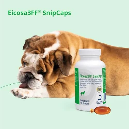 Eicosa3FF SnipCaps Omega 3 Capsules for Dogs Large 60 ct | Supports Skin & Coat thumbnail 6