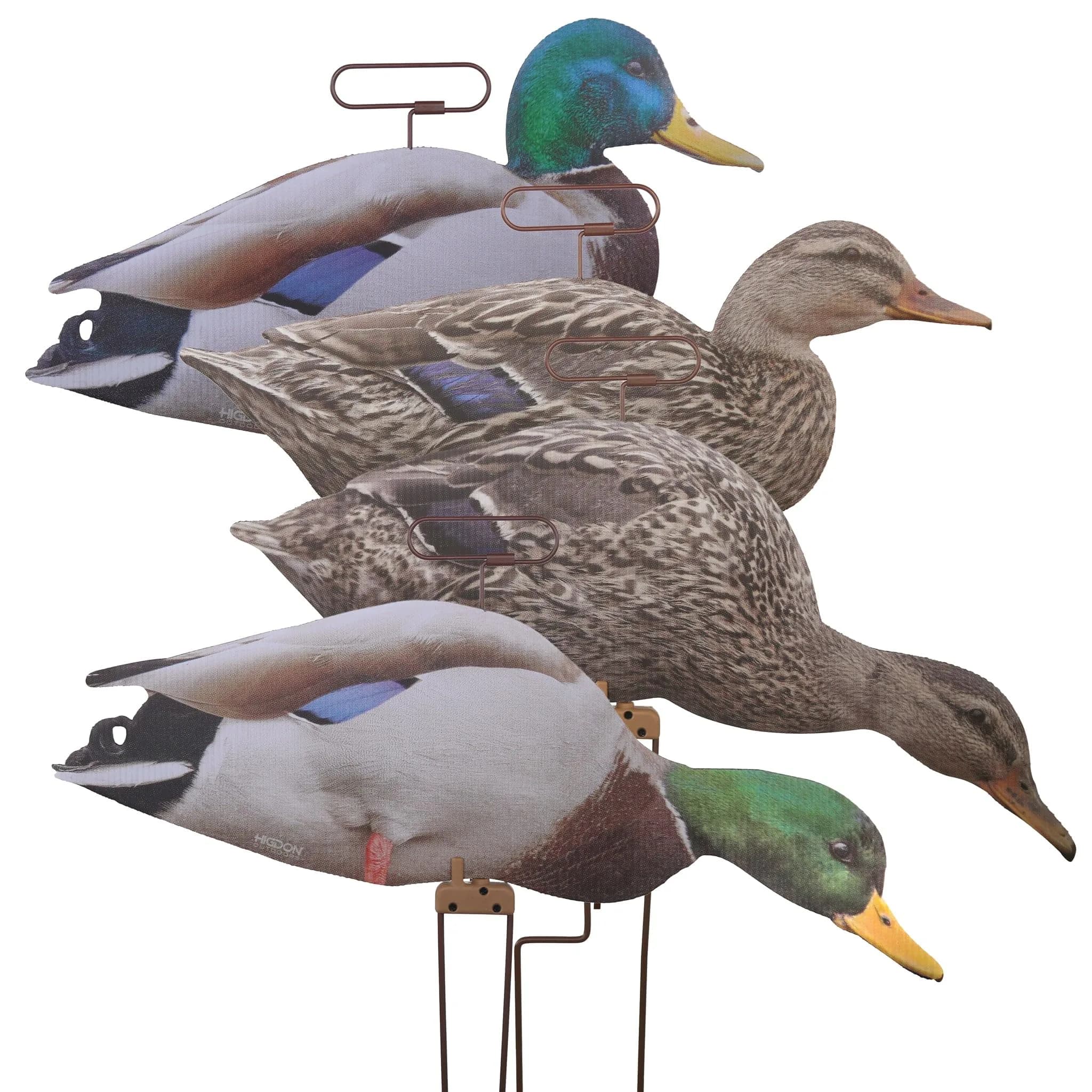 Higdon Outdoors Flats | Mallard Duck Silhouette Decoys for Waterfowl Hunting | Lightweight Weather Resistant 12 Pack — MOTION NON-FLOCKED