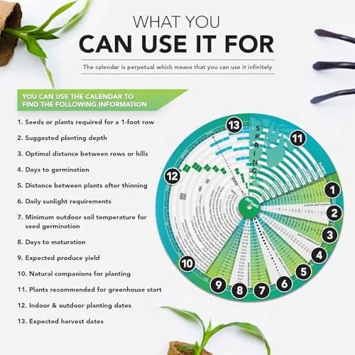 CraftSaints Garden Planner Wheel 23.7cm (9.3in) | Perpetual Plant Care Guide for Indian Gardens thumbnail 3