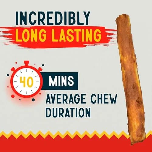 Canine Chews 10" Chicken Coated Dog Rawhide Retriever Rolls | Long-Lasting & Healthy Dental Chew for Large Dogs thumbnail 4