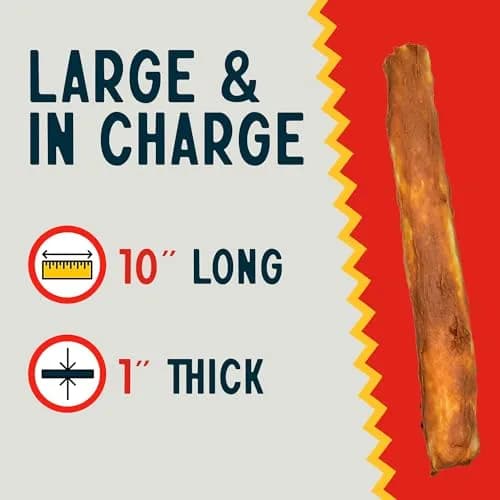 Canine Chews 10" Chicken Coated Dog Rawhide Retriever Rolls | Long-Lasting & Healthy Dental Chew for Large Dogs thumbnail 3