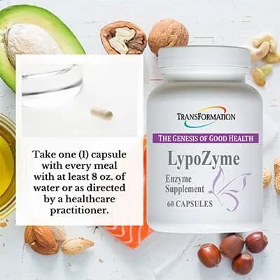 TRANSFORMATION LypoZyme Enzyme Supplement 120 Cap | Supports Digestion & Nutrient Absorption thumbnail 6