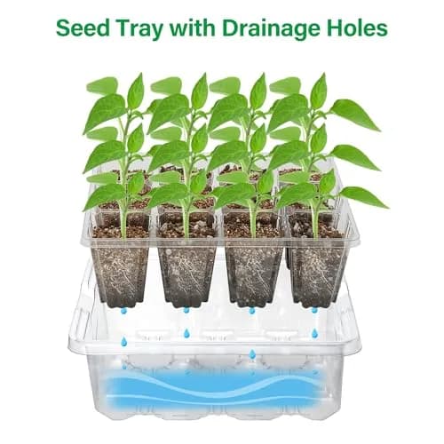 Bonviee Seed Starter Trays with 12-LED Grow Lights, Clear, 5 Pack | Indoor Germination Kit with Root Observation thumbnail 6