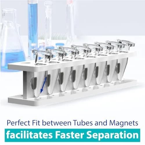 eLabPal 16-Well Magnetic Separation Rack for 1.5/2mL Tubes | Neodymium Magnet Bead Collection thumbnail 3
