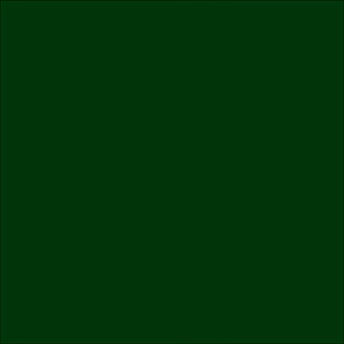 Rust-Oleum Painter's Touch 2X Semi-Gloss Hunter Green Spray Paint, 12 Oz (Pack of 2) - view 2