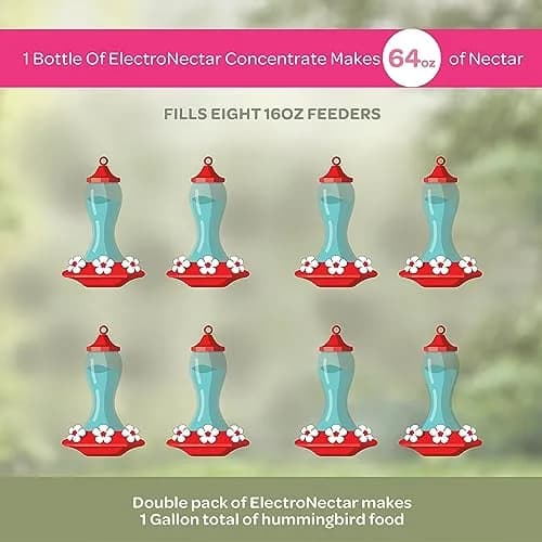 Kaytee ElectroNectar Wild Bird Food 16 Fl Oz | Electrolyte Concentrate for Hummingbirds thumbnail 2