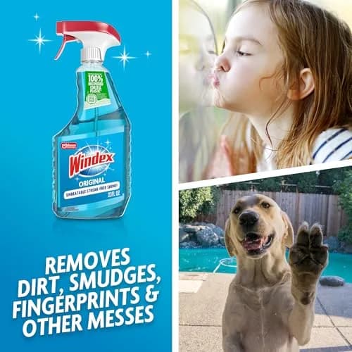 Windex Original Glass & Window Cleaner Spray Bottle 678ml (23 Fl Oz) | Streak-Free Shine for Home Surfaces thumbnail 3