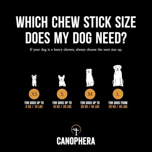 Canophera Dog CHEW Stick Made of Coffee Tree Wood 2 Pack | Natural Stress & Dental Support thumbnail 4