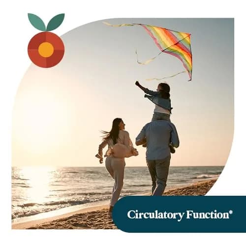 Pattern Wellness CoQ10 Supplement – 30 Vegan Capsules | Supports Cellular Energy & Circulatory Wellness thumbnail 4