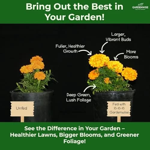 GARDENWISE 10-10-10 Plant Fertilizer 2 QUARTS | All-Purpose Granular Garden Fertilizer for Vegetables, Tomatoes, Roses, Trees thumbnail 5