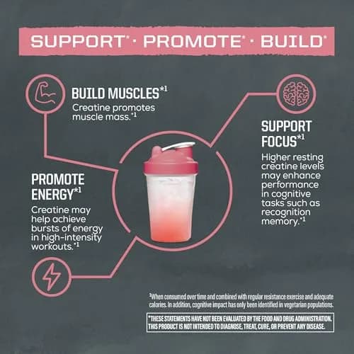 Sunwarrior Creatine Monohydrate Powder 50 Servings | Vegan & Keto Friendly | Support Muscle & Brain Function thumbnail 4