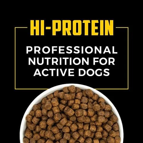 Sportsman's Pride Field Master 30/20 High-Protein Dry Dog Food 40 lb | Supports Joint & Coat Health thumbnail 4