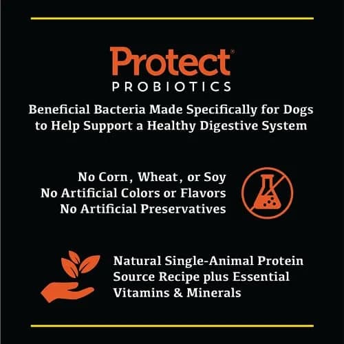 Sportsman's Pride Field Master 30/20 High-Protein Dry Dog Food 40 lb | Supports Joint & Coat Health thumbnail 5