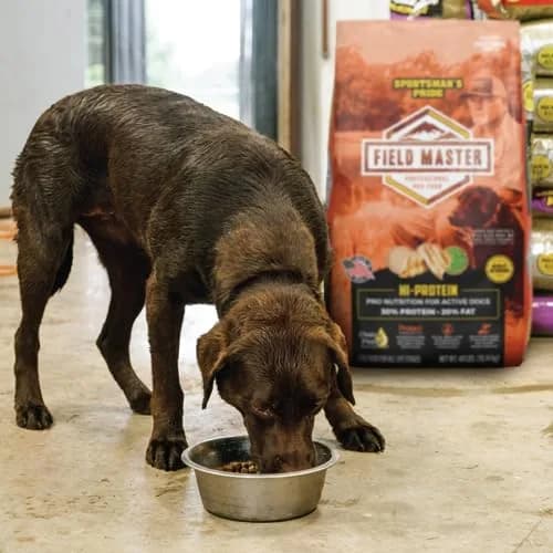 Sportsman's Pride Field Master 30/20 High-Protein Dry Dog Food 40 lb | Supports Joint & Coat Health thumbnail 8