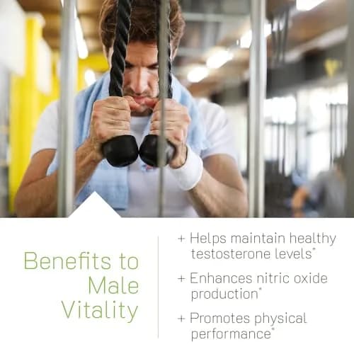 Irwin Naturals Testosterone UP RED with Nitric Oxide Booster | 100 Softgels for Male Vitality & Circulation Support thumbnail 3