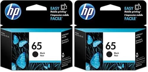 HP 65 Black Ink Cartridge (Pack of 2) | Fade-Resistant Documents & Brilliant Images — 120 Pages