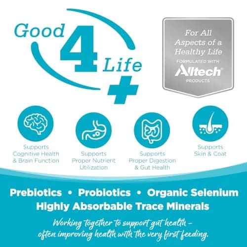 NutriSource Element Series Chicken & Duck Freeze Dried Raw Bites | Supports All Life Stages & Gut Health thumbnail 5