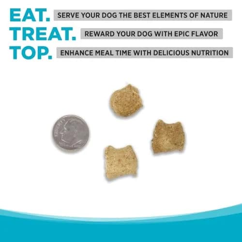 NutriSource Element Series Chicken & Duck Freeze Dried Raw Bites | Supports All Life Stages & Gut Health thumbnail 2
