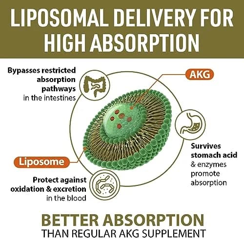 AJAXERRUE Liposomal Calcium AKG Supplement 1500 MG | High Absorption for Longevity & Energy thumbnail 3